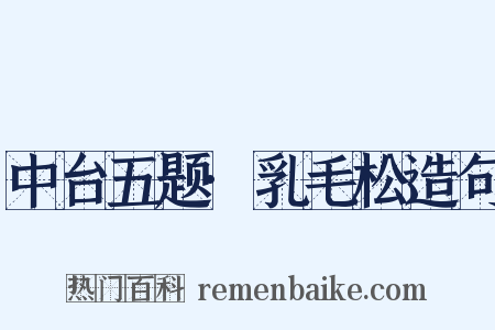中台五题·乳毛松造句是什么意思的图片